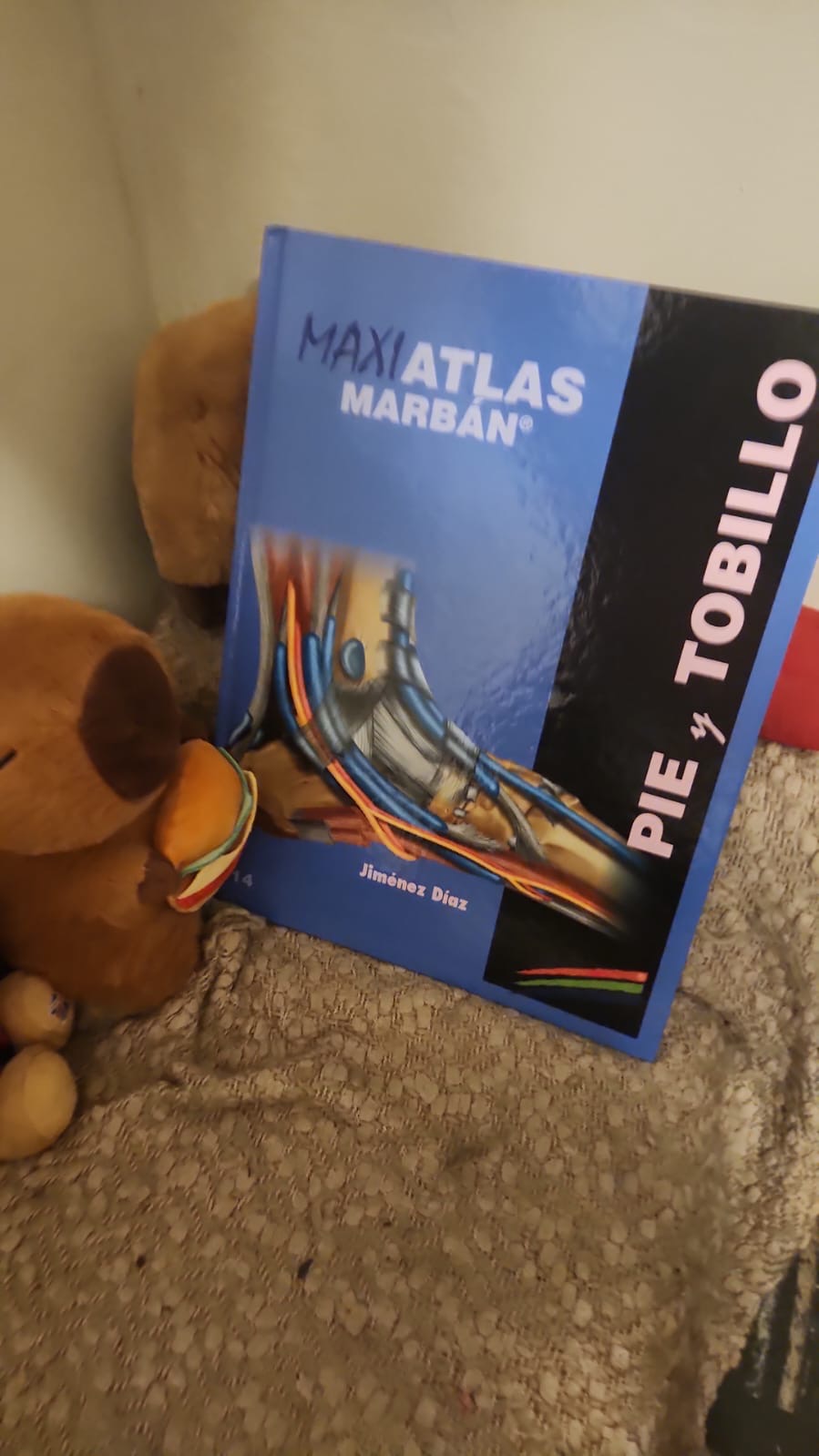 190f012a 7e07 4196 b6c5 a4f31bd1375b.JPG